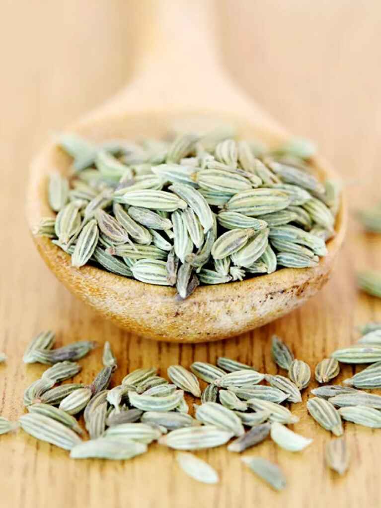 Mothers SPPL's Fennel seeds - Authentic Indian Spice Blend